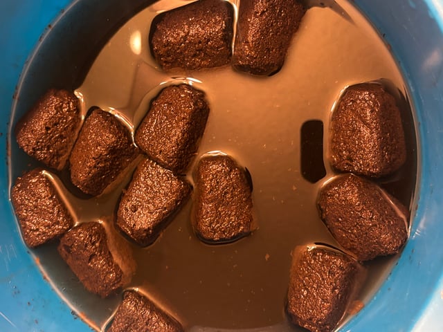 PKB remix/PotG — grow_setup, day 1