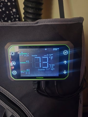 Looking for advice! — vegetative, day 13