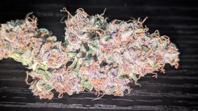 Strawberry Cheesecake Seedsman Seeds Autoflowers x2 — flower, day 107