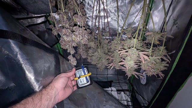 Mixed Grow — flower, day 129