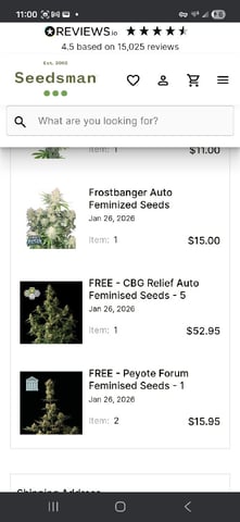 Seedman mix auto & seedman mix auto & GodFather OG — none, day 37