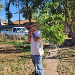 MrRo318