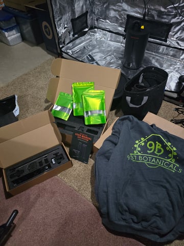 Fast Buds - Purp Lemonade — vegetative, day 15