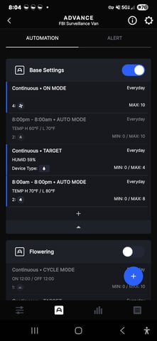Purple Haze  — flower, day 60