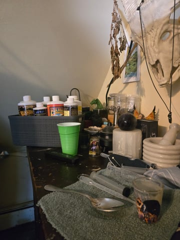 Looking for advice! — vegetative, day 43