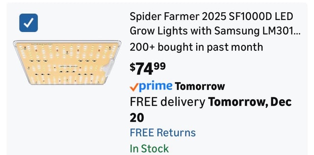gorilla glue x sky walker  — seedling_rooting, day 6