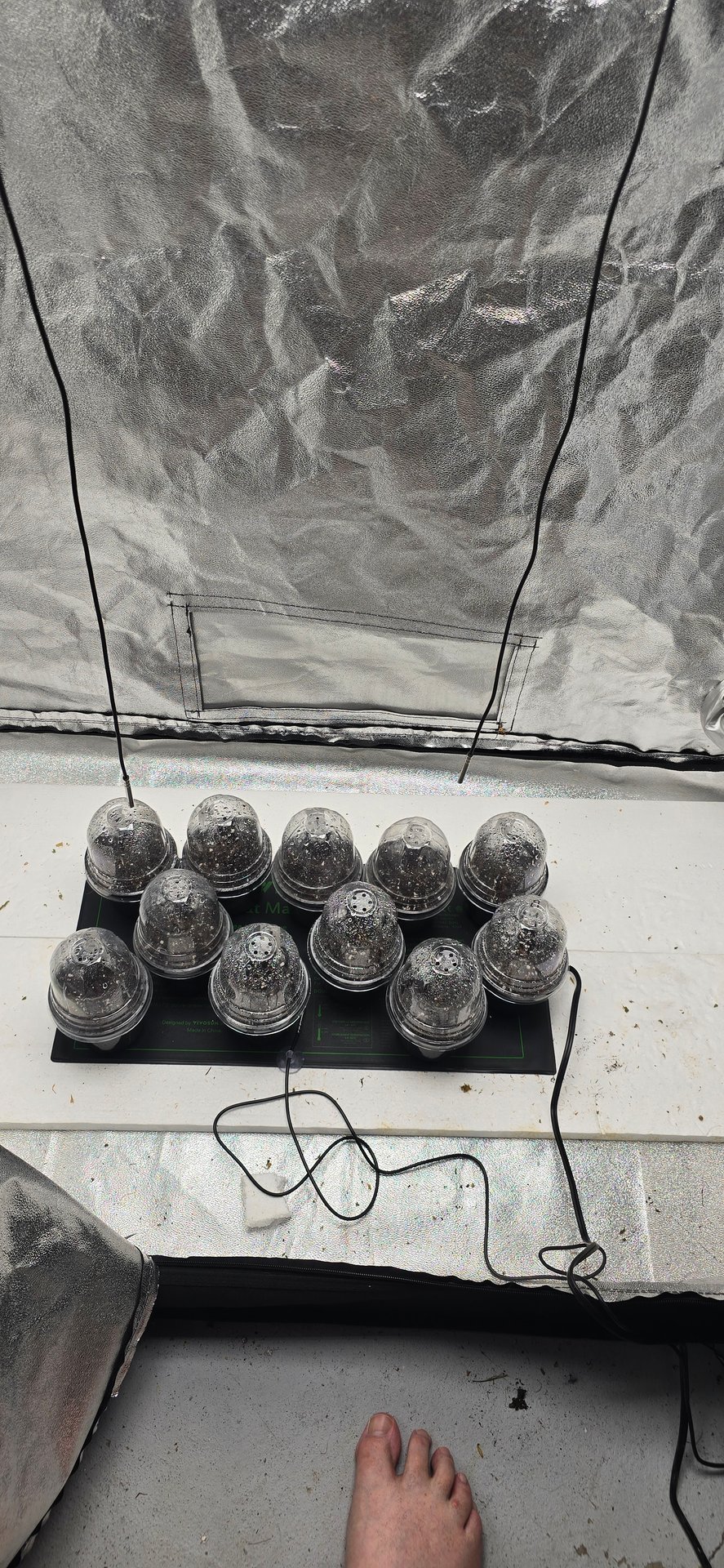 This grow may be interesting!