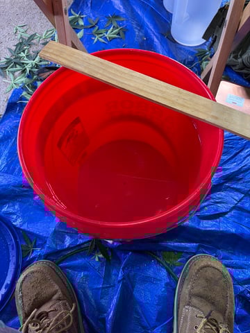 5’x5’ — flower, day 22