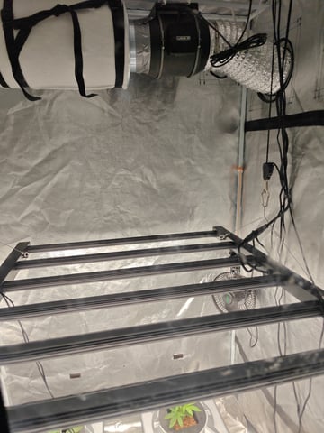 indoor grow 1 — vegetative, day 27