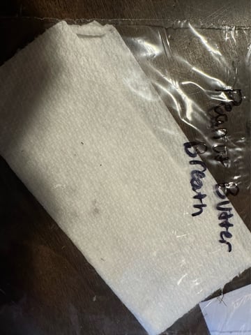 PBB and SN — germination, day 1