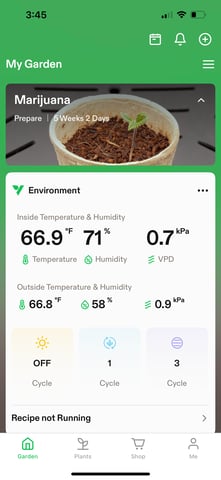 First Round — vegetative, day 3