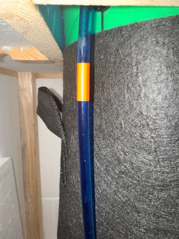 FIRST GROW EVER LETS GO!!!