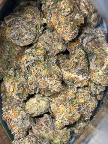 Indoor Grow  — done, day 213