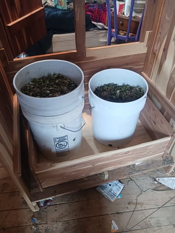 first time hydropontic grow of autoflower and non autoflower — grow_setup, day 1