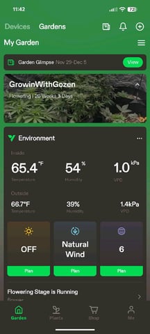 Mixed Grow — flower, day 92