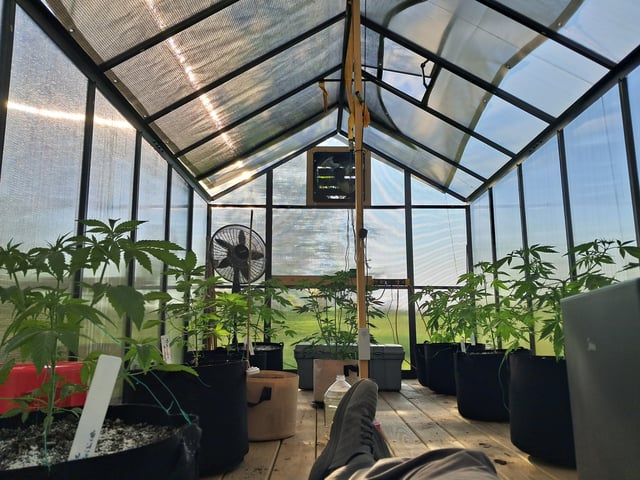 re-start new germination