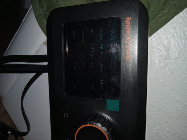 closet grow for veg with a.c infinity air intake fan .With no carbon filter just suction,and spider farmer sf 7000.Then a spider farmer sf tent 4×4×6.5with a G1500 l.e.d from spiderfarmer and spider farmer 6inch clip oscalating fan. — harvest, day 73