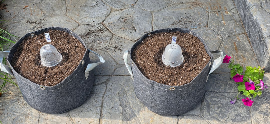 Let's just leave these right here!