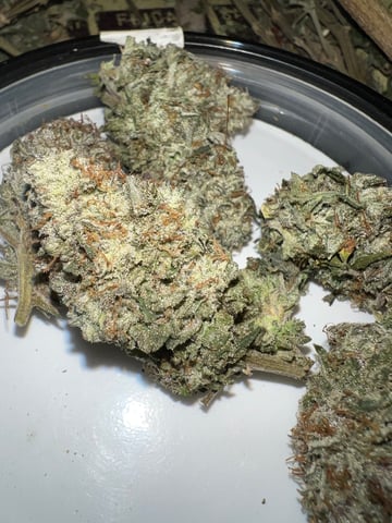 Indoor Grow  — flower, day 112