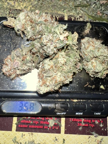 Indoor Grow  — flower, day 112