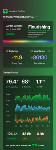 Pineapple Express  — auto, day 22