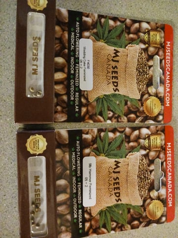 4th grow  — germination, day 58