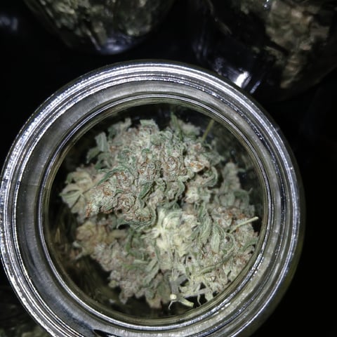 run #3 — harvest, day 116