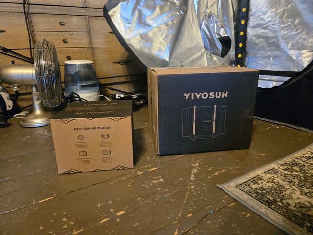 Looking for advice! — vegetative, day 5