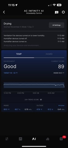 Green Gelato — harvest, day 119