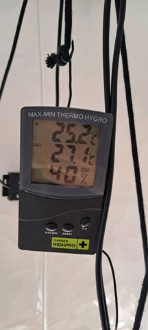 First Grow with the new setup  — flower, day 52