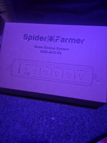 I'll get it right — flower, day 82