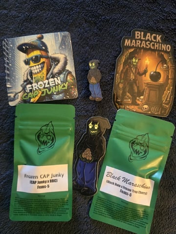 OLD GROW, NEW IDEAS — harvest, day 82