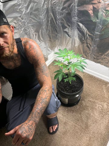GrowMaster88