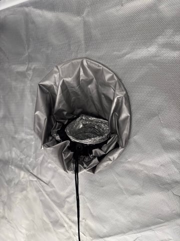 Grow #2 — vegetative, day 51