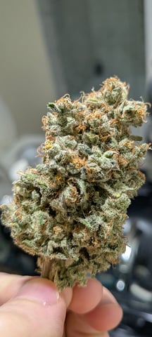 1st grow continued  — flower, day 69