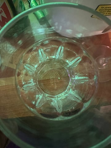 My First Grow (Razberry Lime Soda - Purple City Genetics) — none, day 1