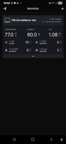 Purple Haze  — vegetative, day 13
