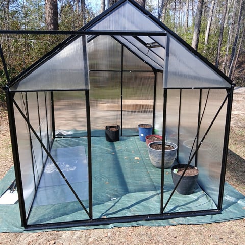 run #3 — flower, day 85