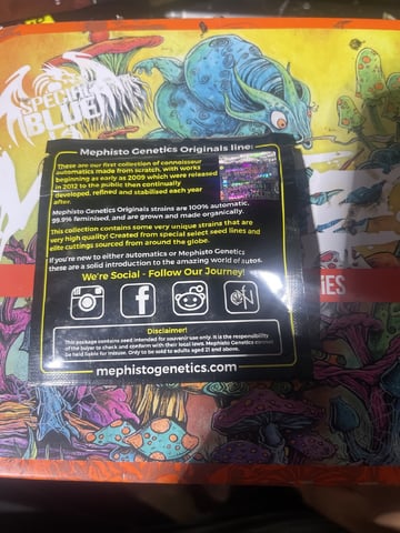 Rippleys OG Auto (Mephisto Genetics) 1st Attempt at Autos — grow_setup, day 1