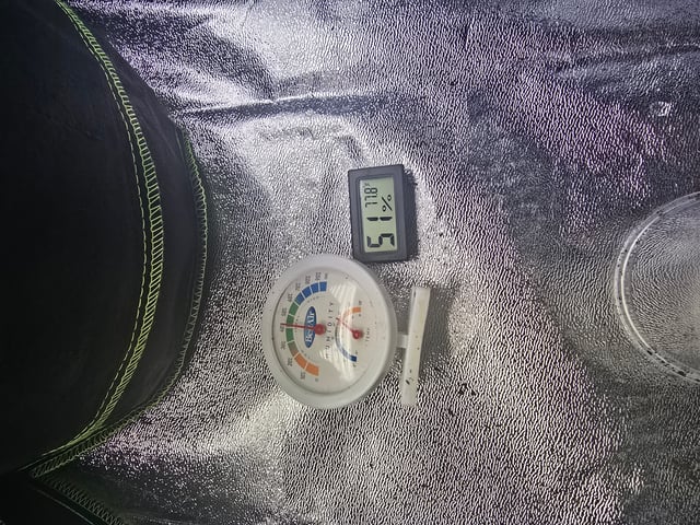 2nd Autoflower Indoor Grow — seedling_rooting, day 8