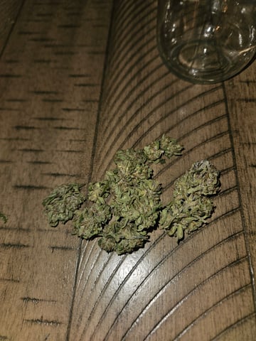 Mango Runtz — harvest, day 90