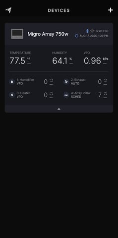 Mixed Freebies — vegetative, day 38