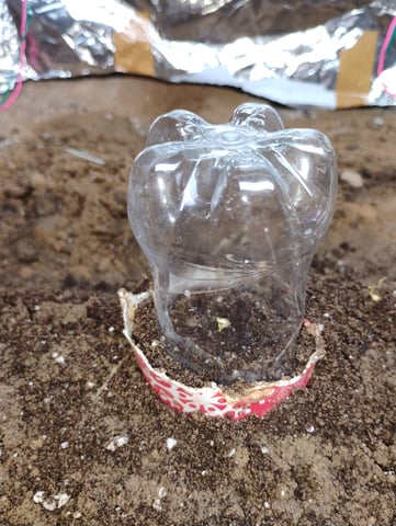 green o matic indoor in soilf