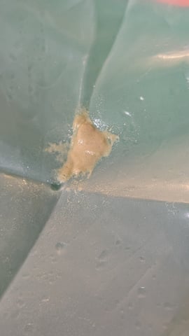 Grow 1 — done, day 149