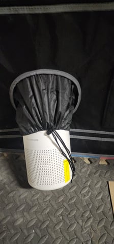 First clones (Dr nefario)  — vegetative, day 23