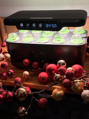 Rc Exotics — germination, day 3