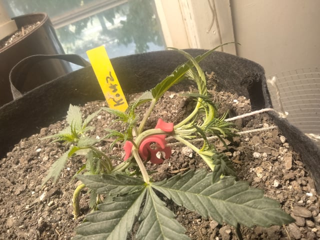 jay seaton  — done, day 114