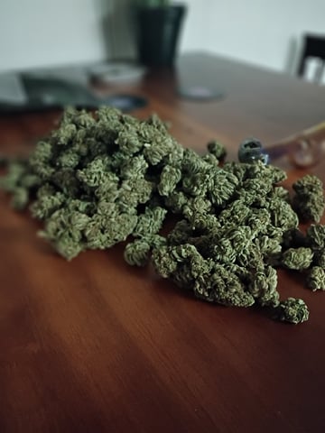 FastBuds-Auto Mix Pack-Quad Mystery
