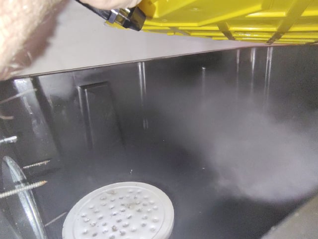 Maui wowie  — vegetative, day 27