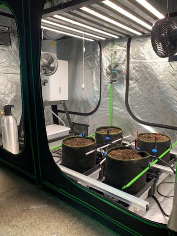 Six  — grow_setup, day 1